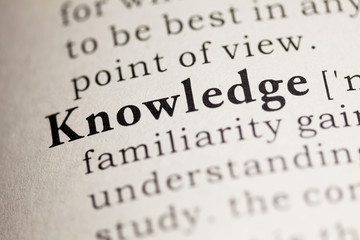 室内十大好养的绿植