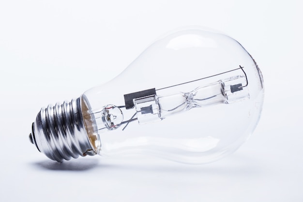 室内十大好养的绿植