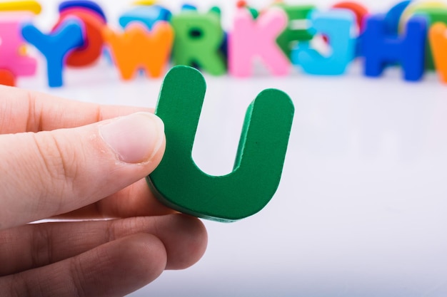 室内十大好养的绿植